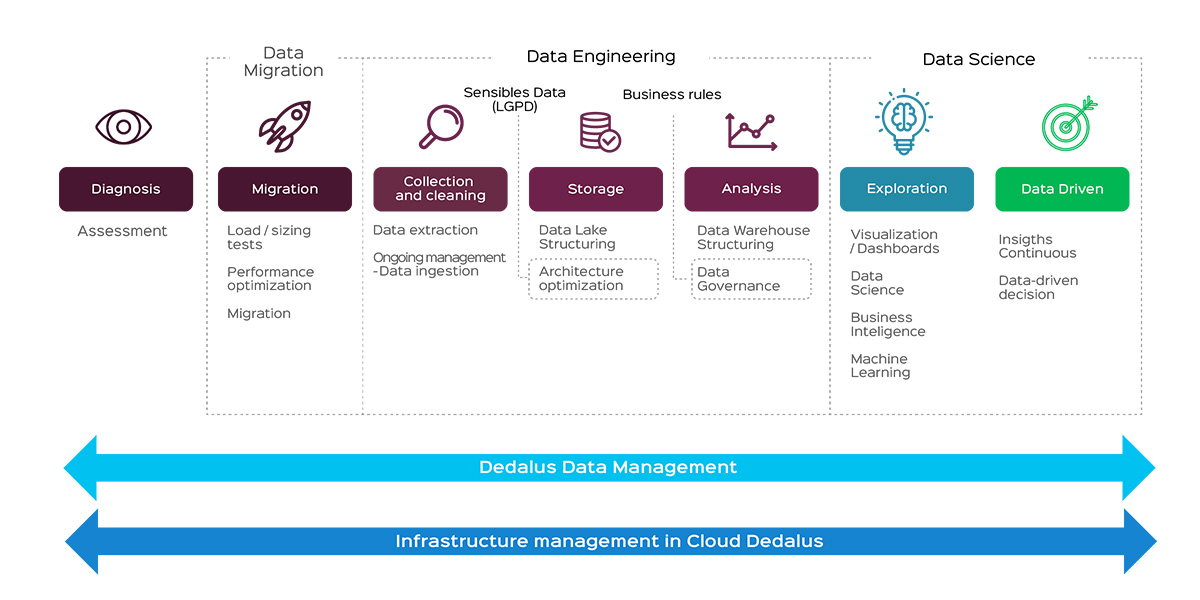 Data Professional Services
